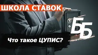 Что такое ЦУПИС и для чего он нужен? | Блог букмекера