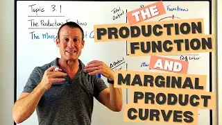 The Production Function and the Marginal Product Curve