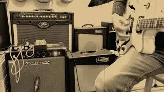 Traynor YGL1 Tube Guitar Amp Combo @ Maar's Music