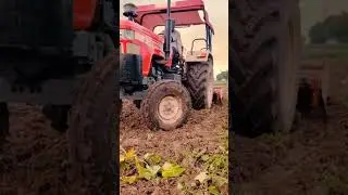 #swaraj #963 #rotavator #trending #farming #favorite #viralvideo #bestfarming #indian #trend