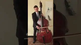 How to play softly (piano) on the double bass