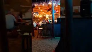 Dune Dog Cafe Stuart FL #florida #travel #food #martincounty #stuartflorida #stuart #travelvlog