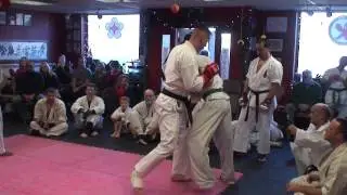 Highlights from MMA Fighter Don Walton's Kyokushin Brown Belt Test