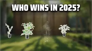 The Top 5 Best Clumping Bamboo in 2025 - Must Watch Before Buying!