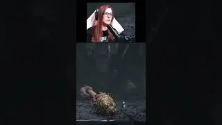 A very dramatic ending to Bramble..