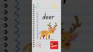 Letter D Words #shorts