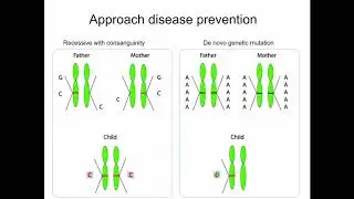 E01.4 From germline to somatic mutations in neuronal disease