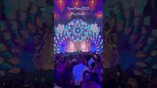 Omiki 📍Tam Tam 2025 #psyzone