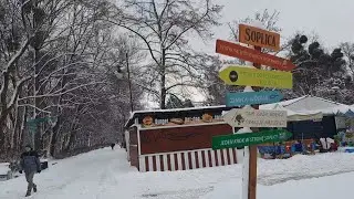 Jak w zimowej bajce...❄️🩵 #winter #happy #funny #yt #snow 