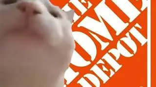 Cat vibing to Home Depot theme