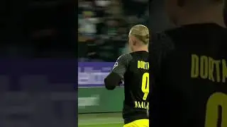 Fan zeigt Haaland den Stinkefinger