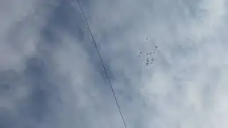 Cumulets starting to fly good