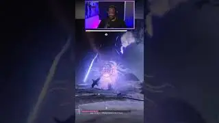 It makes a sherpa proud when first timers one phase raid bosses...