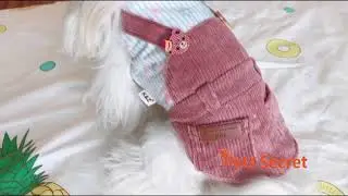 petsserect  Bear Straps Small Dogs Pet Dog Clothes Autumn And Winter Pant