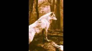 Good Trap Music-Рингтон Track 7