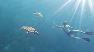 Snorklar med sk&ouml;ldpaddor och glider rundor p&aring; Gili Trawangan aka Gili T