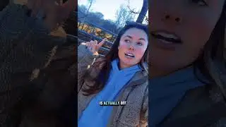 Let&rsquo;s count cows!
