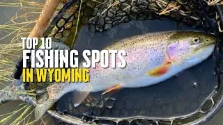 TOP 10 Fishing Spots In WYOMING