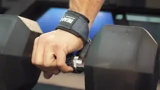 BEAR GRIP -  Signature Elite Weight Lifting Straps