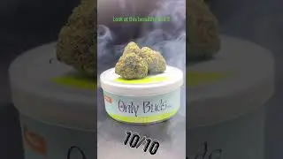 Onlybuds best flower !