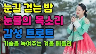❄️ 눈길 걷는 밤눈물이 맺히는 목소리ㅣ계속 듣게 되는 감성 트로트 메들리ㅣ애절한 트로트ㅣ최신 트로트 모음