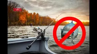 What you need to know when fishing in denmark 2025