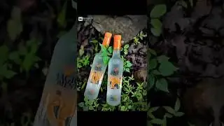 iconic 750 #shorts Daru party status|Royal Stag whiskey price #drink #shorts #ytshorts #whiskeylover