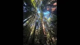 As Above, So Below. Grounding and relaxing sound.