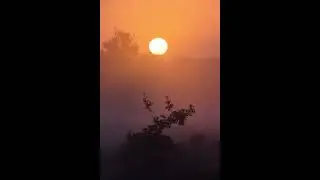 Edward Maya ft.  Vika Jigulina -Stereo Love (1 hour)