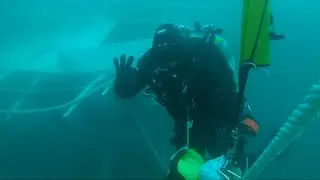 NJ Wreck Diving // scuba diving the Reedville A brand new SHIP WRECK