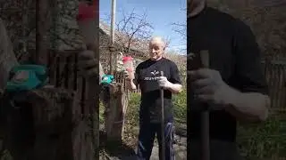 Спортивное питание линейки ZEN bodi