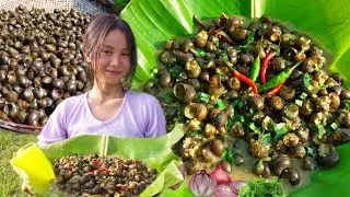 Snail Cooking and Eating | Healthy Snail Recipe | Cooking Traditional Style in Village | Northeast