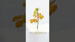 Лужа с цветком