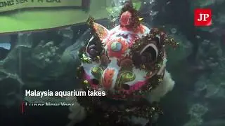 Chinese New Year 2019: Year of the Pig