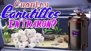 Cuanto Material Filtrante  Biológico le cabe al canister  aquajet Lomas 400 para acuarios Canutillos