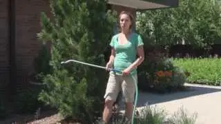 Planting Trees in Summer