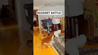 Lily Doesn&rsquo;t SHARE!!! 😤🥊