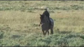 Land of Contrasts: Rancher Wannie Mackenzie