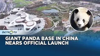 Soft Opening of China&rsquo;s Giant Panda Base
