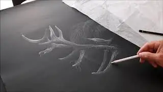 FIGHT - Redstags - uracsart.com
