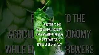 How many Hops does it take? 🍻🍃