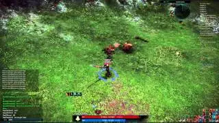 Weird Outlaw Bug(Tera Online)