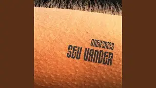 Seu Vander