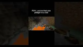 POV : last pillager be like