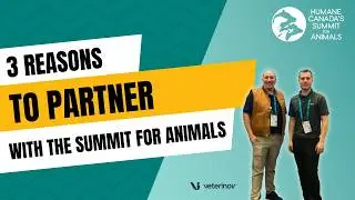 Hear why your business or organization should partner with the Summit for Animals!