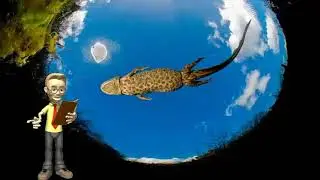 O FENÔMENO TEMPORAL CONHECIDO COMO MAR DE MINDE