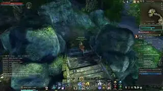Echo of souls ragnarok ice sorc solo hero Vagrant's Copse level 29  #eos