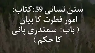 Sunnan Nasai Hadith number 59