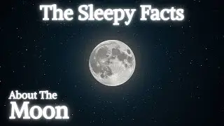 The 100 Relaxing Facts About Our Moon to Fall Asleep To | Soothing Sleep Story