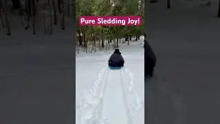 Sledding Fun | Pure Winter Joy #youtubeshorts #shorts #sledding  #fun  #winterfun #viralshorts